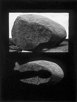 Maori Fishhook, Smiths Lookout, Port Pegasus Stewart Island