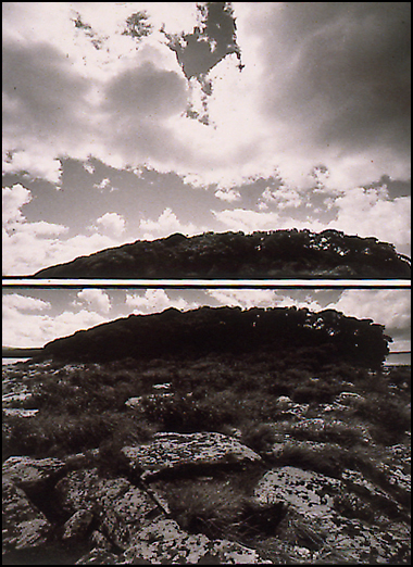 French Island II, Auckland Islands New Zealand, lloyd godman