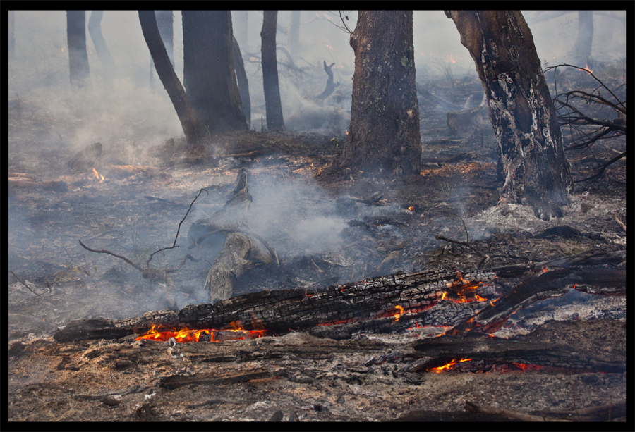 Controlled burn with CFA Wild Dog Creek Rd, St Andrews - Sept 16 2009 - Lloyd Godman