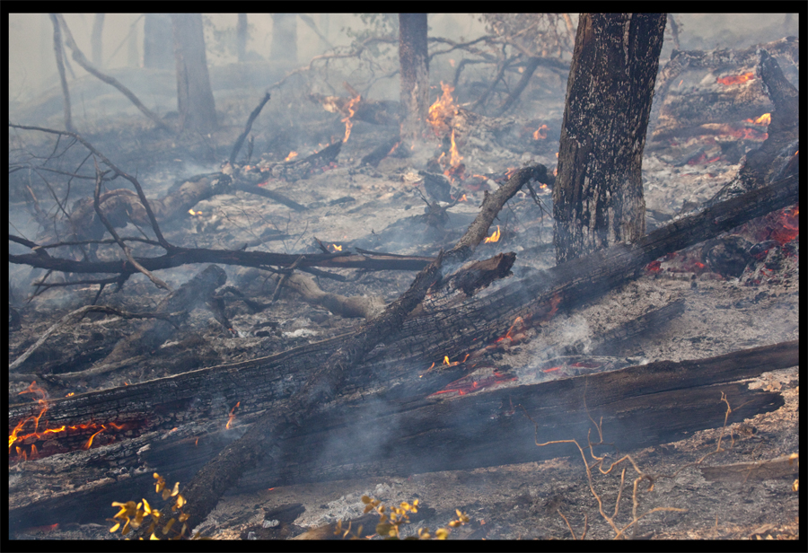 Controlled burn with CFA Wild Dog Creek Rd, St Andrews - Sept 16 2009 - Lloyd Godman