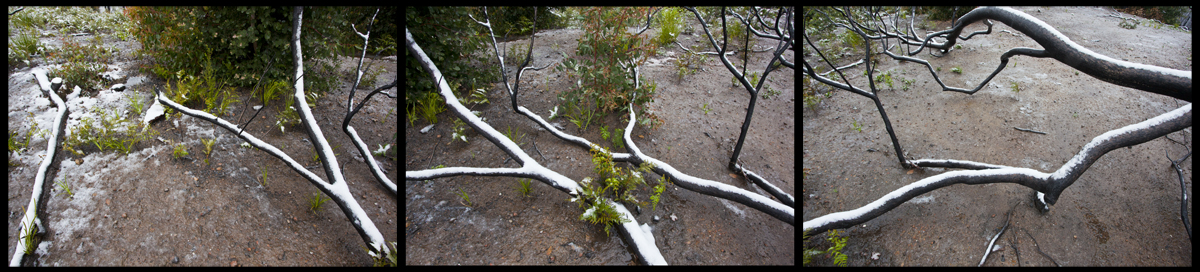 Kinglake in the snow - Oct 16 2010 - Lloyd Godman