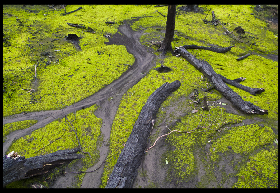 Kinglake to Steels Creek - June 23, 2009, Lloyd Godman