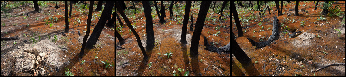 fire inferno that devastated the St Andrews Kinglake 2009