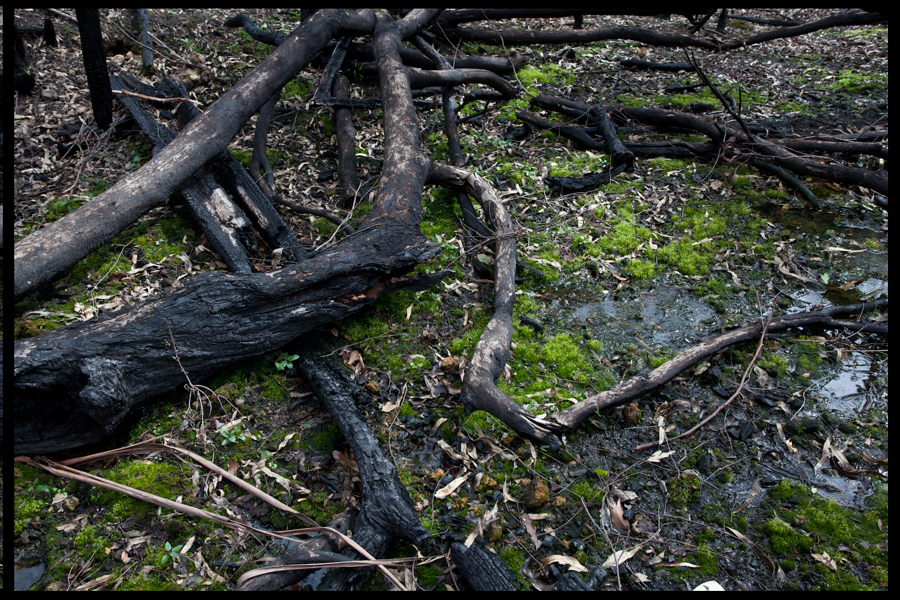 fire inferno that devastated the St Andrews Kinglake 2009