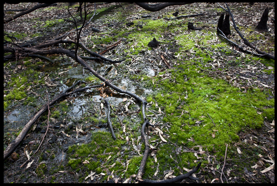 fire inferno that devastated the St Andrews Kinglake 2009