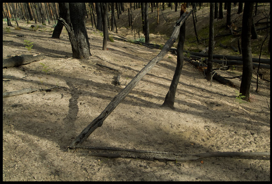 Ninks Rd up to Mt Jerusalem Rd, Kinglake May 2009, Lloyd Godman