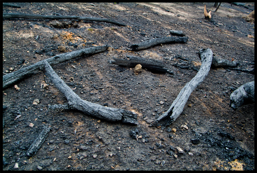 entropy - frame 2278 - a walk between Brian and Di Gilkes studio at Ninks Rd and Baldspur Rd - St Andrews - 27 April 2009 - Lloyd Godman