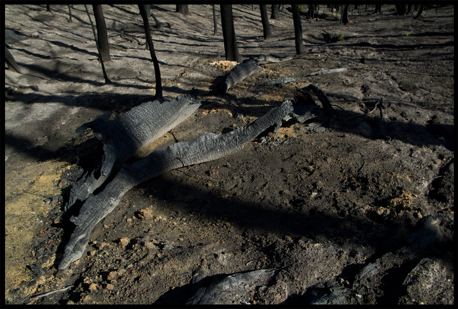 entropy triptych - frame 2540 - a trip up Baldspur Rd,St Andrews to KingLake - 6 May 2009 - Lloyd Godman