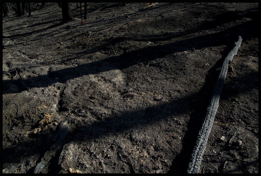 entropy triptych - frame 2540 - a trip up Baldspur Rd,St Andrews to KingLake - 6 May 2009 - Lloyd Godman