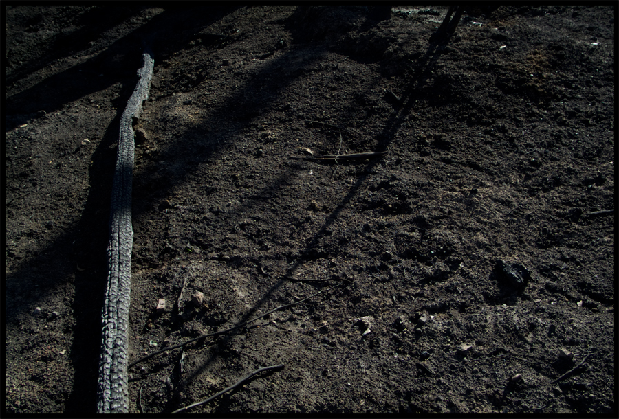 entropy triptych - frame 2540 - a trip up Baldspur Rd,St Andrews to KingLake - 6 May 2009 - Lloyd Godman