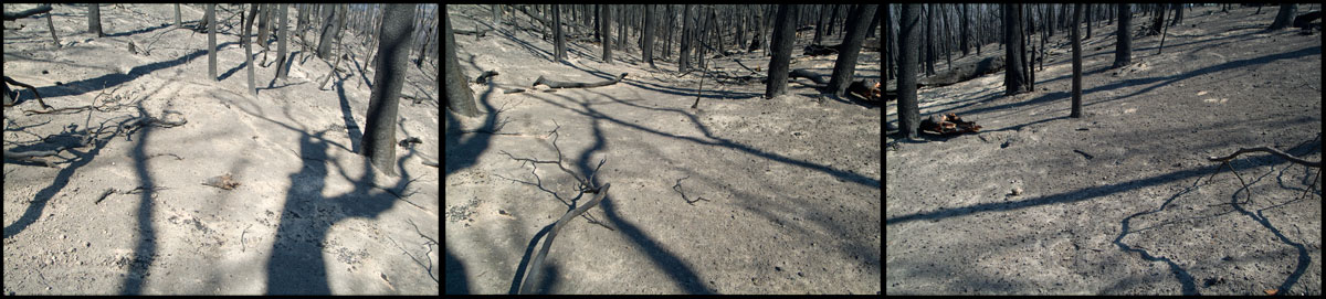 fire inferno that   devastated the St Andrews Kinglake 2009