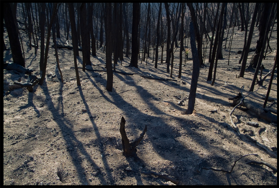 From a trip up Baldspur Rd - St Andrews - March 21, 2009 - Lloyd Godman