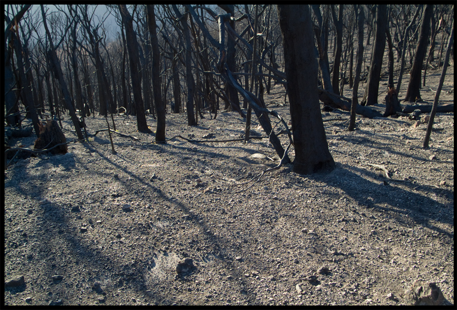 From a trip up Baldspur Rd - St Andrews - March 21, 2009 - Lloyd Godman