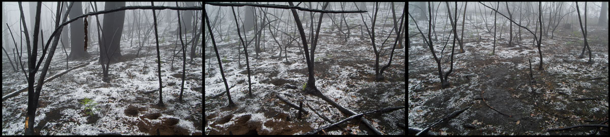 fire inferno that   devastated the St Andrews Kinglake 2009