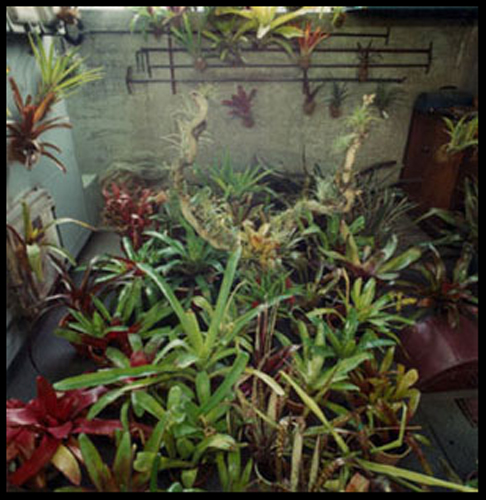 plant room art installation