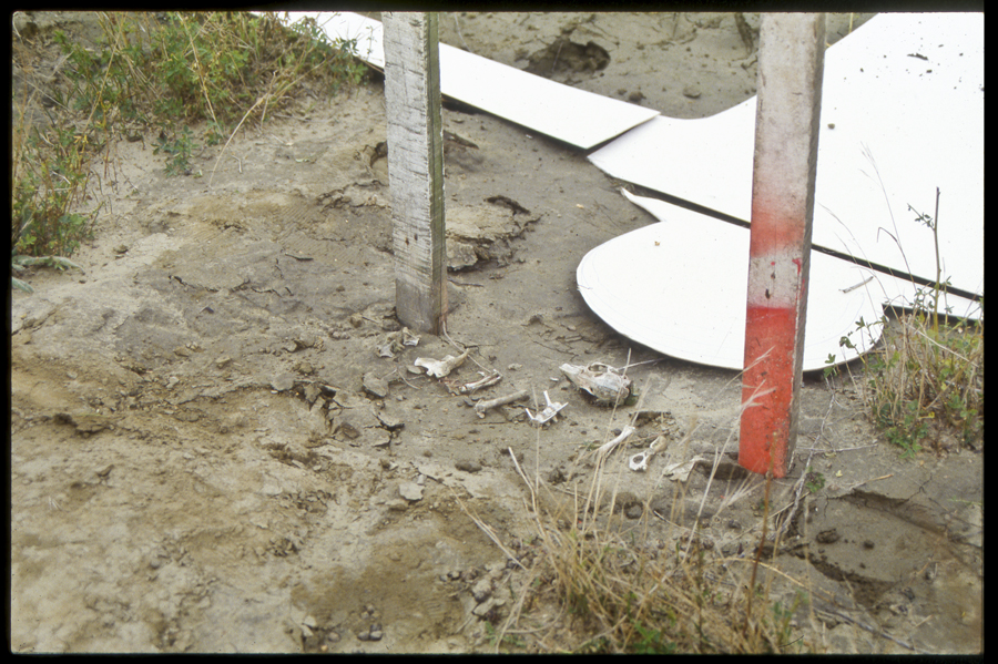 Performance to mark the first filling of hydro lake Dunstan, Clyde, New Zealand - Lloyd Godman Lake Fill I, 1992