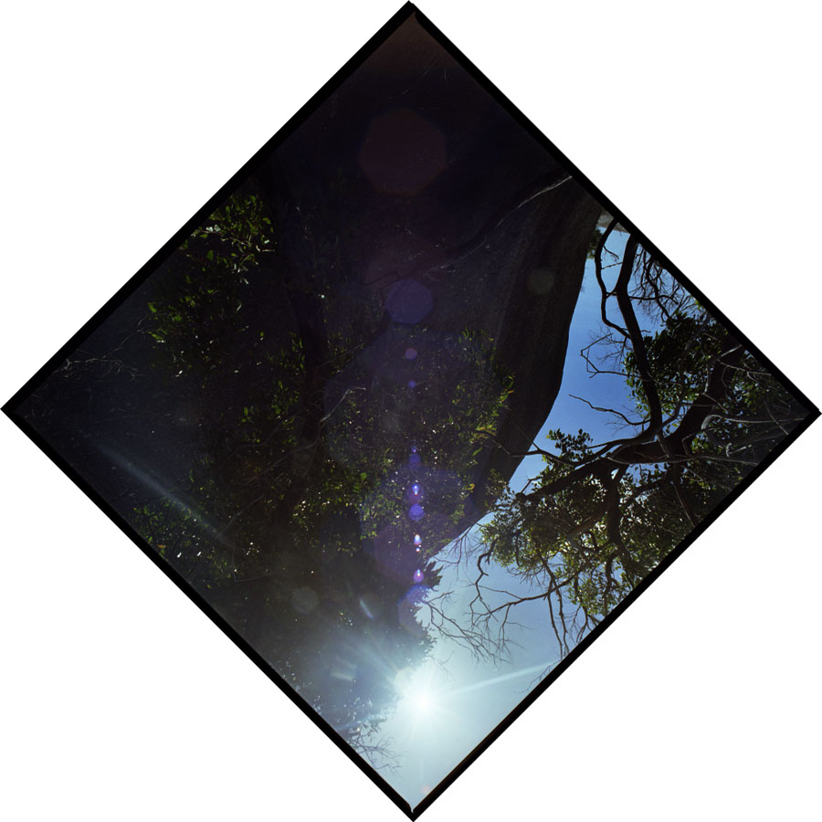 Summer Solstice Journey VII - Wilsons Promontory, Victoria, Australia - Lloyd Godman