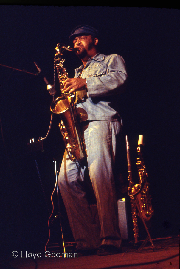 John Mayall - Dunedin, New Zealand, Lloyd Godman