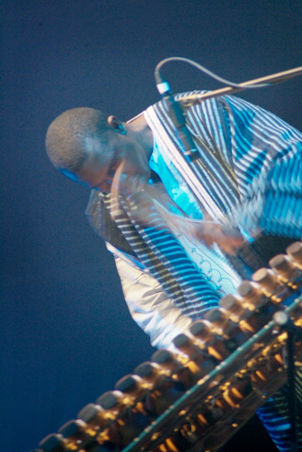 Touman's Diabate's Symmetric Orchestra, Lloyd Godman