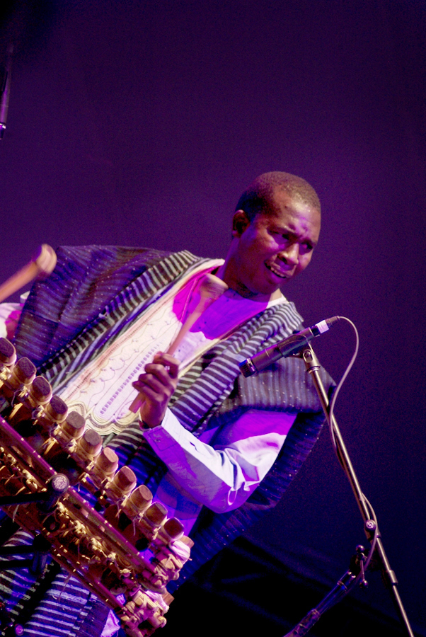 Touman's Diabate's Symmetric Orchestra, Lloyd Godman