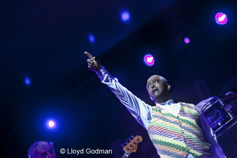 Ethipiques - The Armarda - Womad - Adelaide - Australia - 2010 - Lloyd Godman