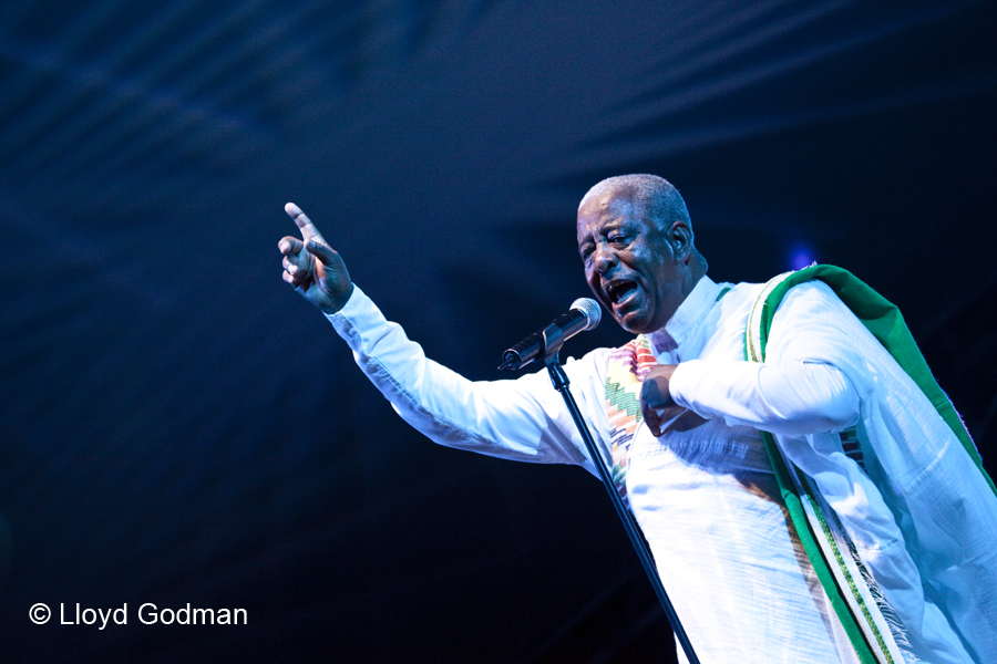 Ethipiques - The Armarda - Womad - Adelaide - Australia - 2010 - Lloyd Godman