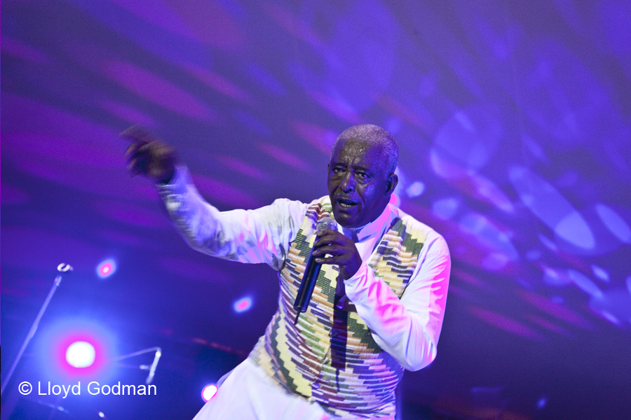 Ethipiques - The Armarda - Womad - Adelaide - Australia - 2010 - Lloyd Godman