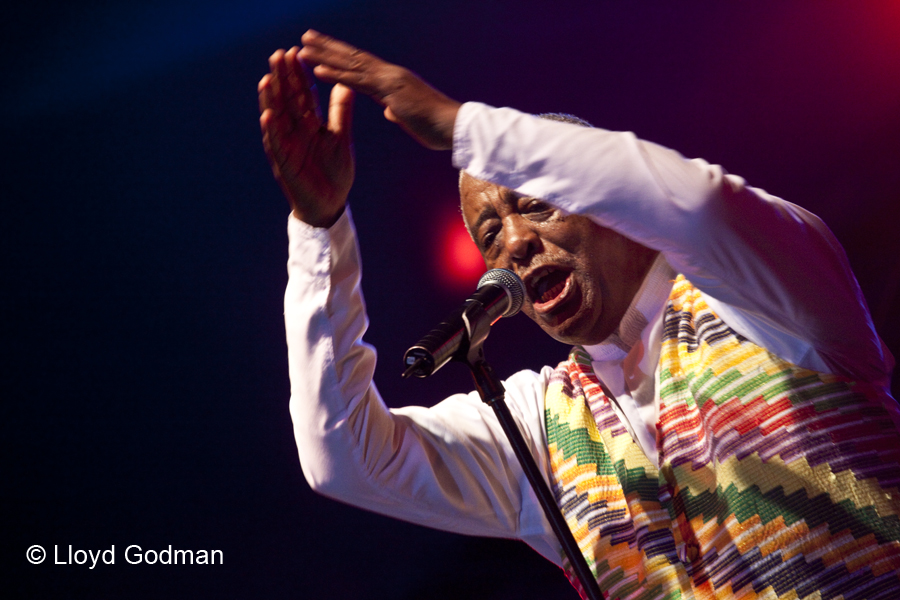 Ethipiques - The Armarda - Womad - Adelaide - Australia - 2010 - Lloyd Godman