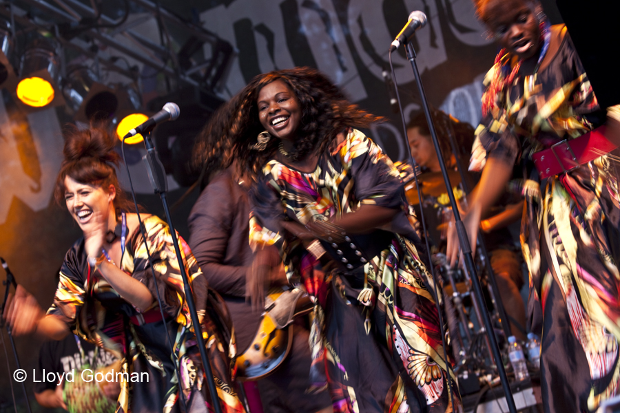 The Public Opinion Afro Orchestra - Womad - Adelaide - Australia - 2010 - Lloyd Godman