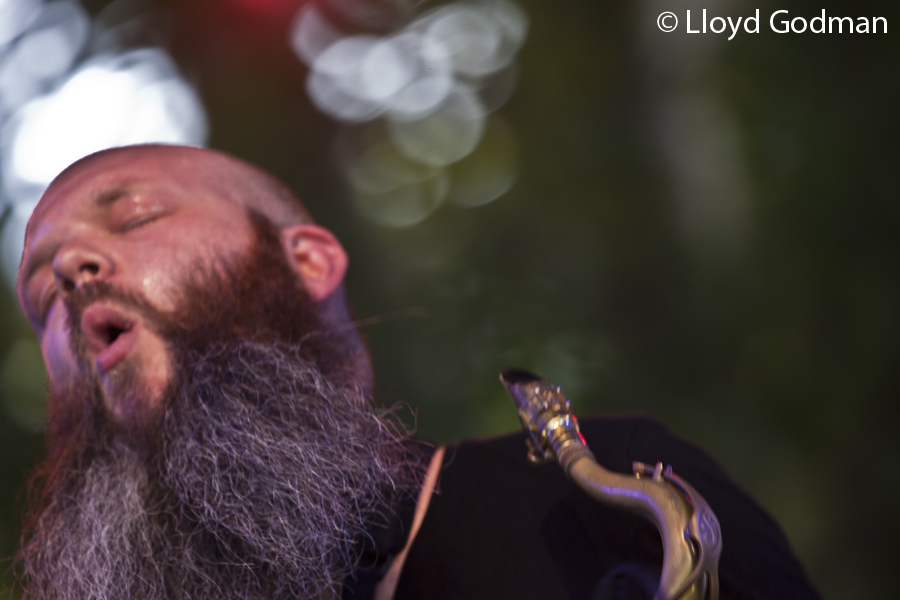 Adam Page,  Womad, Womadelaide, Adelaide, Australia, 2011,  photograph Lloyd Godman