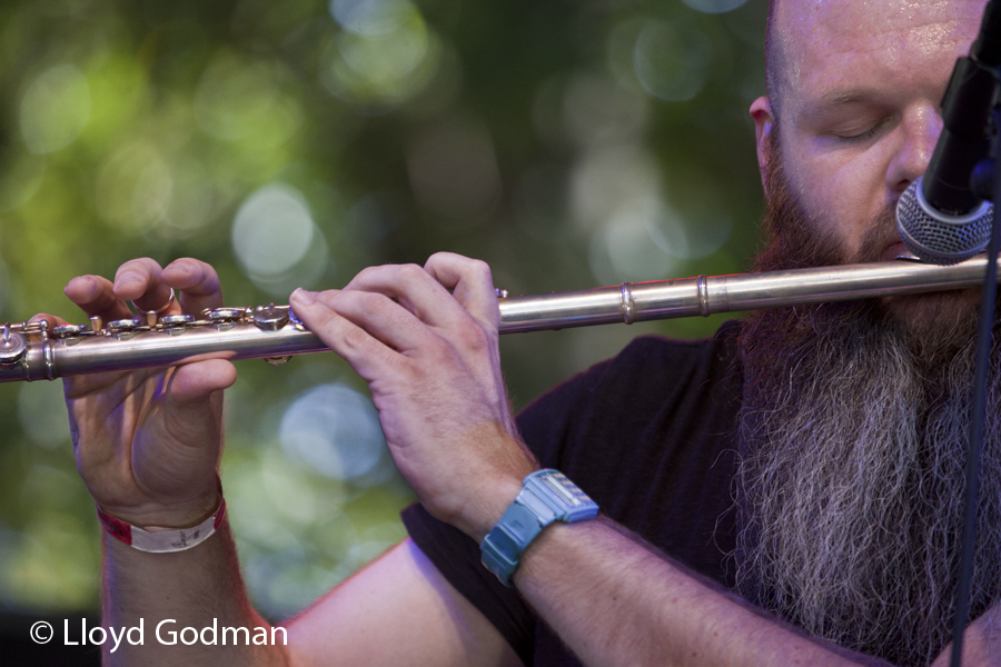 Adam Page, Womad, Womadelaide, Adelaide, Australia, 2011, photograph Lloyd Godman