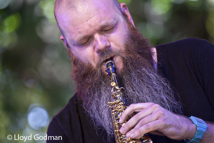 Adam Page, Womad, Womadelaide, Adelaide, Australia, 2011, photograph Lloyd Godman