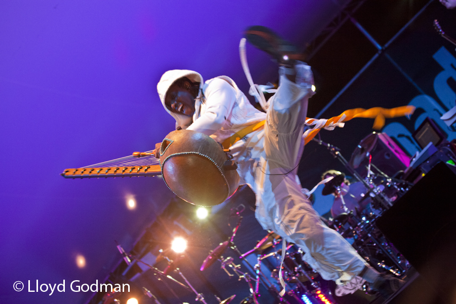 Afro Celt Sound System - Womad - Womadelaide - Adelaide - Australia - 2011 - Lloyd Godman