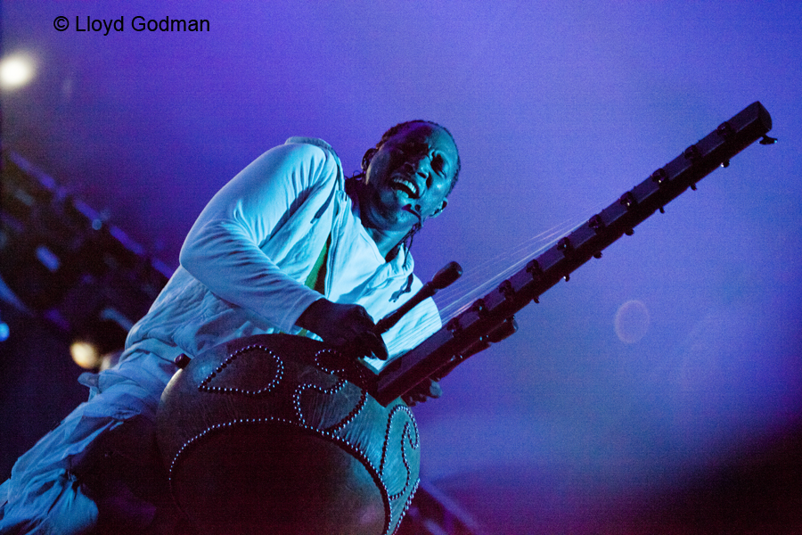 Afro Celt Sound System - Womad - Womadelaide - Adelaide - Australia - 2011 - Lloyd Godman