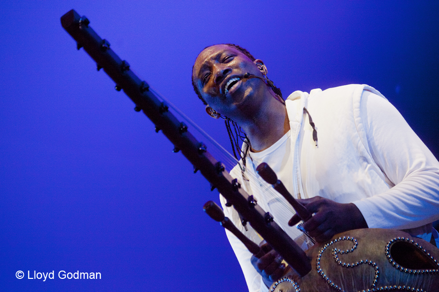 Afro Celt Sound System - Womad - Womadelaide - Adelaide - Australia - 2011 - Lloyd Godman