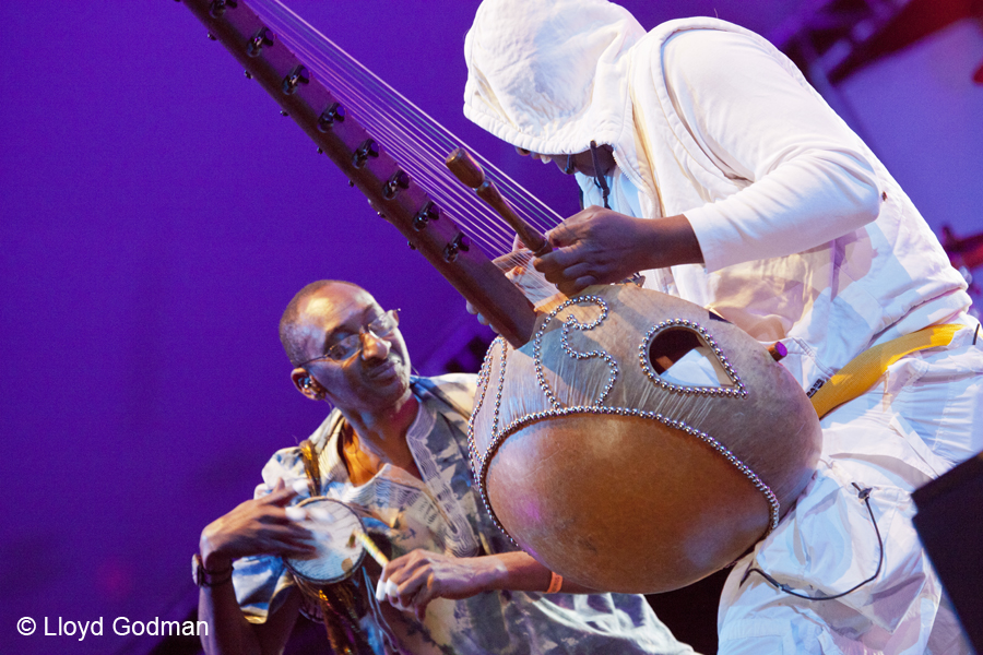 Afro Celt Sound System - Womad - Womadelaide - Adelaide - Australia - 2011 - Lloyd Godman