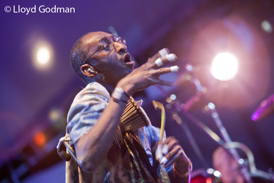 Afro Celt Sound System - Womad - Womadelaide - Adelaide - Australia - 2011 - Lloyd Godman