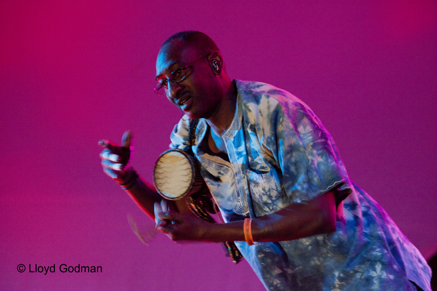 Afro Celt Sound System - Womad - Womadelaide - Adelaide - Australia - 2011 - Lloyd Godman