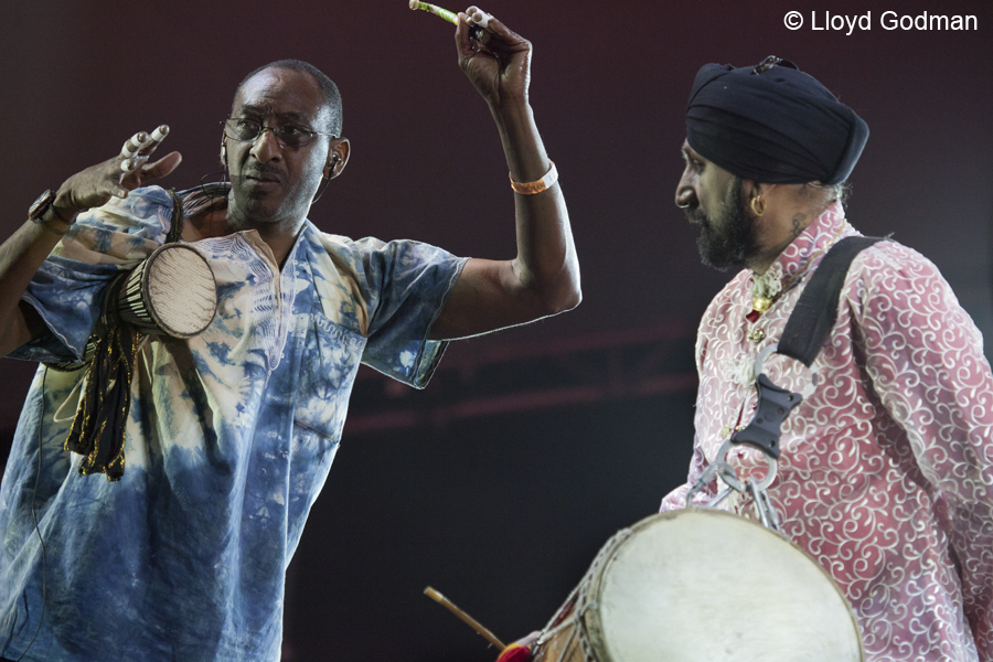 Afro Celt Sound System - Womad - Womadelaide - Adelaide - Australia - 2011 - Lloyd Godman