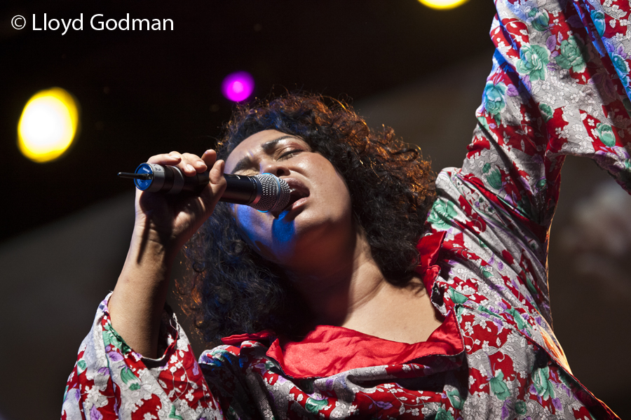 Rhombus - Womad - Womadelaide - Adelaide - Australia - 2011 - Lloyd Godman