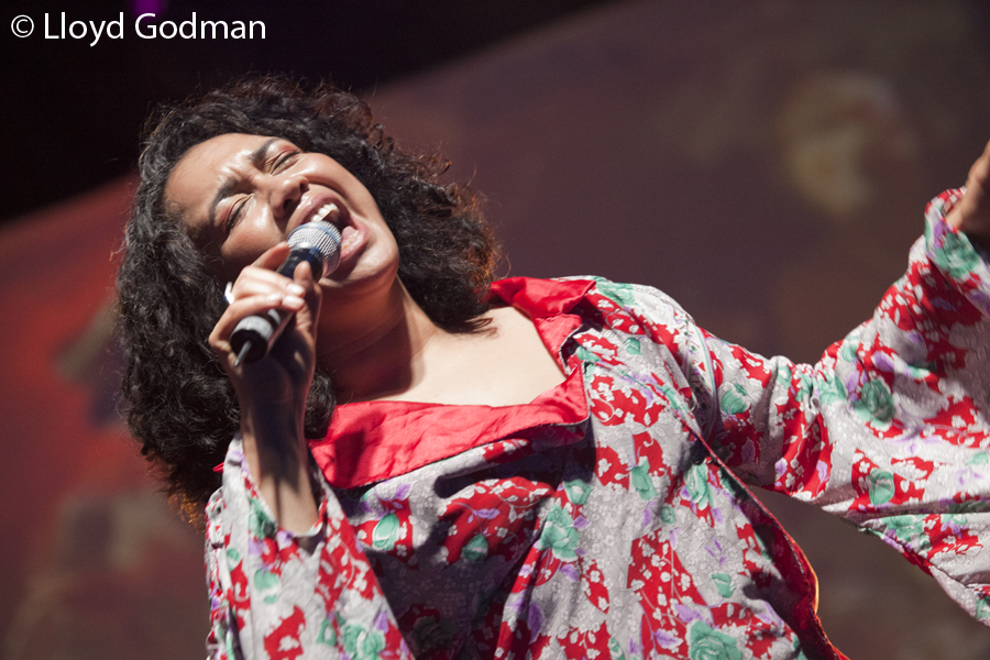 Rhombus - Womad - Womadelaide - Adelaide - Australia - 2011 - Lloyd Godman