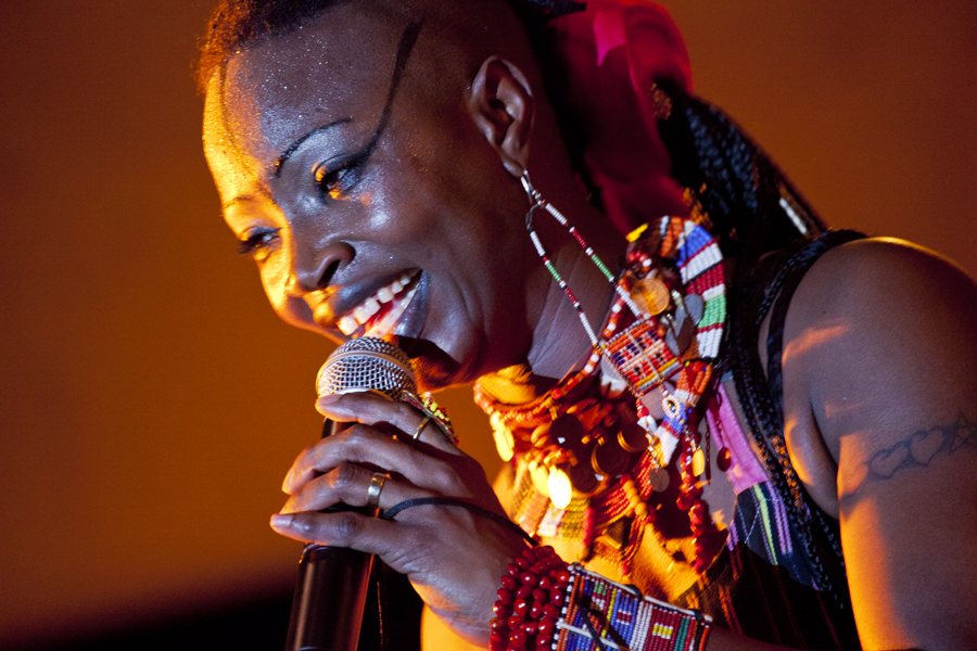 Dobet Gnahore', Womad, Womadalaide, 2012, Lloyd Godman