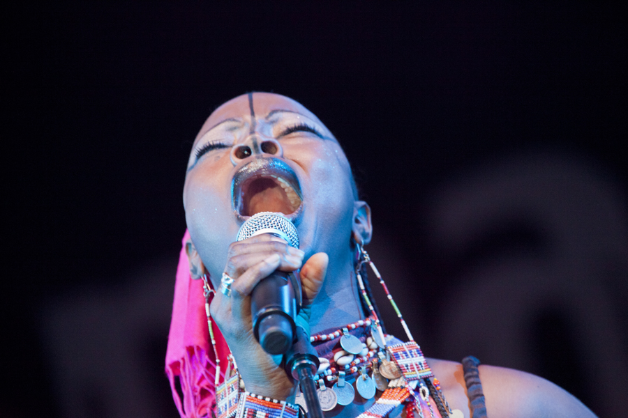 Dobet Gnahore', Womad, Womadalaide, 2012, Lloyd Godman