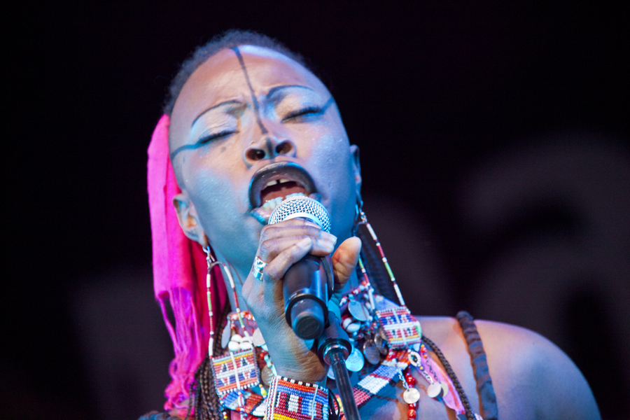 Dobet Gnahore', Womad, Womadalaide, 2012, Lloyd Godman