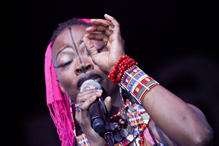 Dobet Gnahore', Womad, Womadalaide, 2012, Lloyd Godman