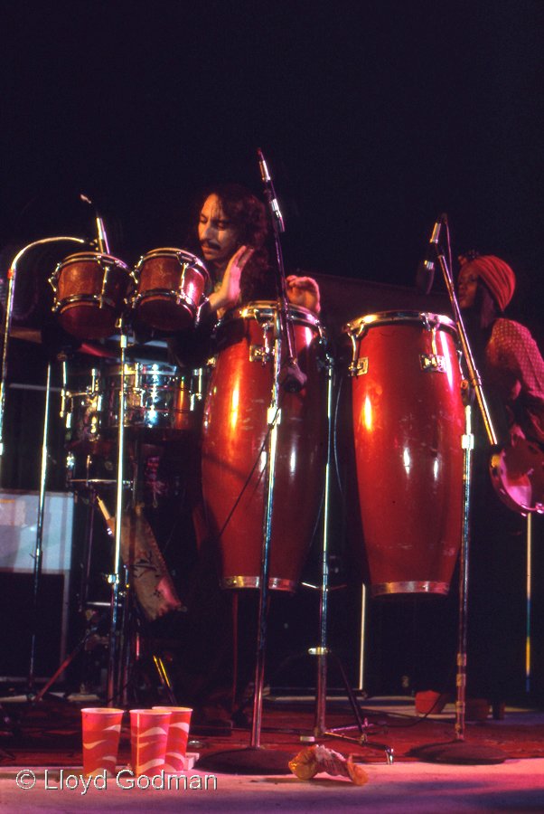 Conga drummer, Joe Cocker,  Western Springs, New Zealand, 1972 , Lloyd Godman