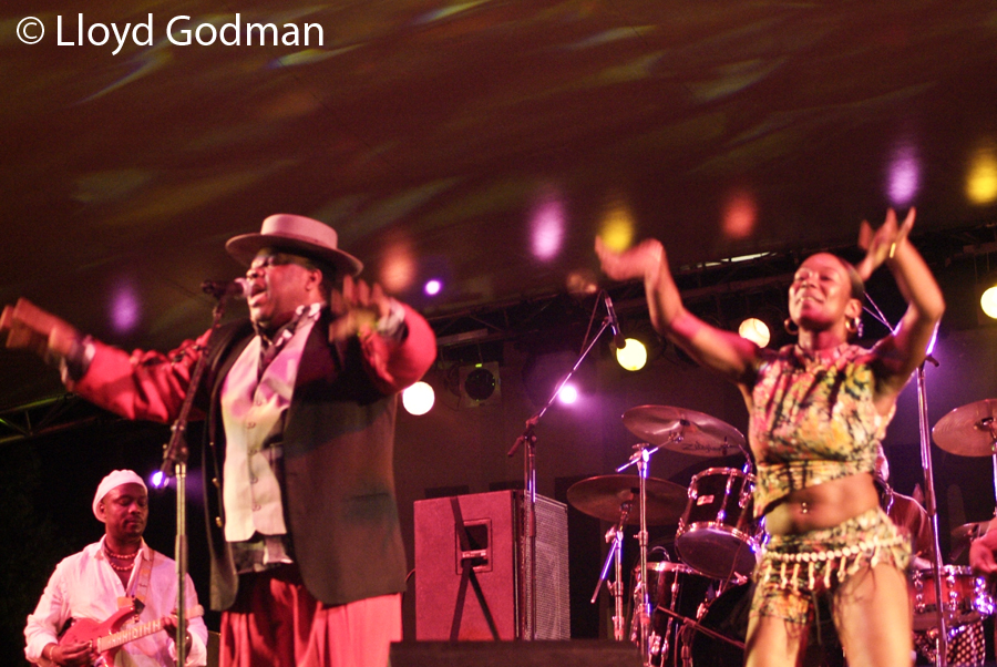 Kanda Bongoman - womadelaide - adelaide - Australia - 2006 - Photograph Lloyd Godman