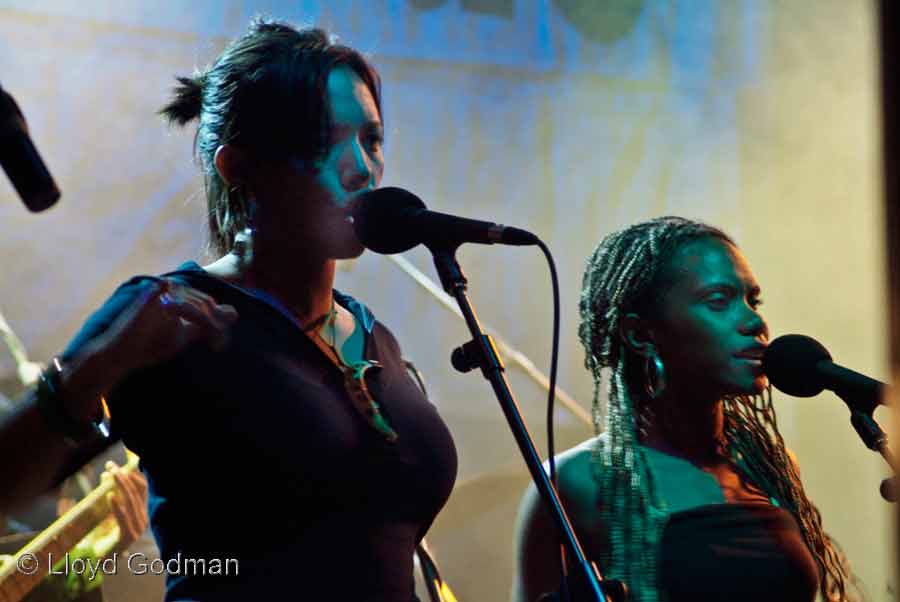 Blue King Brown - Womad - Adelaide - Australia - 2007 Lloyd Godman