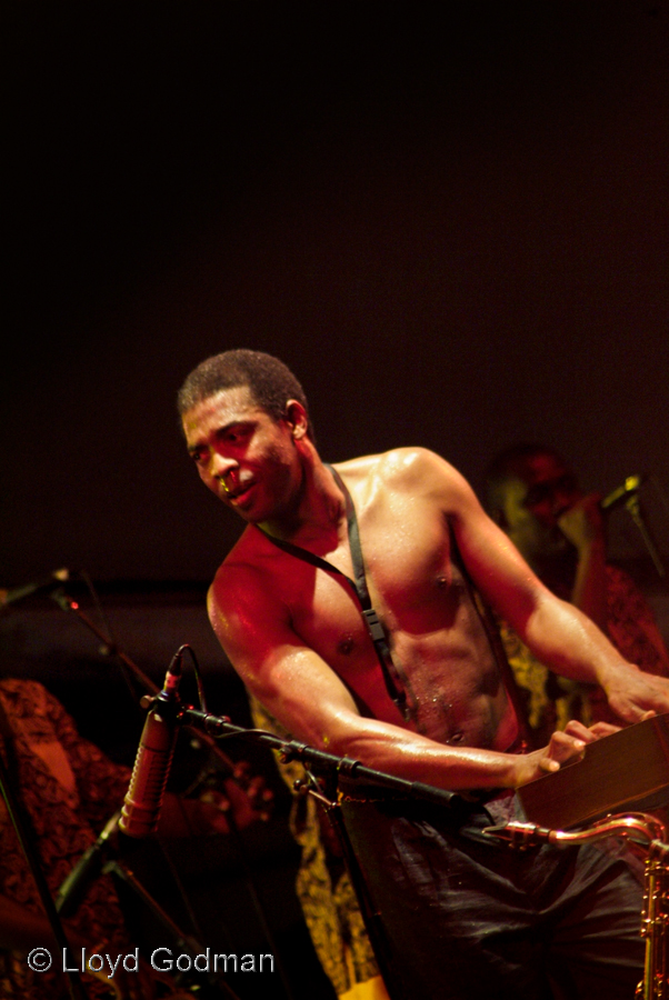 Femi Kuti - Lloyd Godman