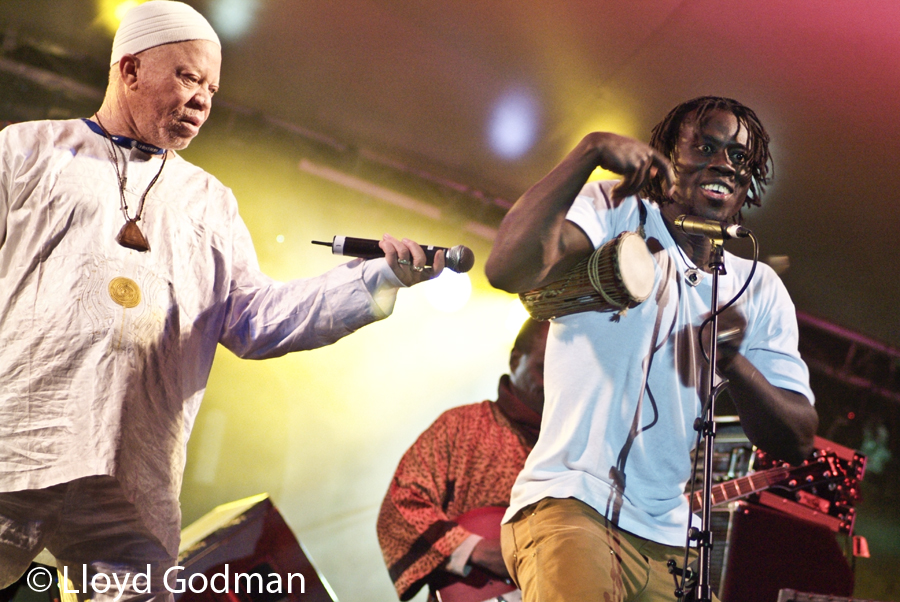 Sailf Keita - Womad - Adelaide - Australia - 2007 - - photograph Lloyd Godman